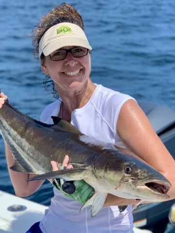 hilton head island charter boat fishing and nature tours cobia 