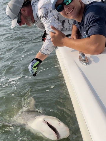 hilton head island charter boat fishing and nature tours shark